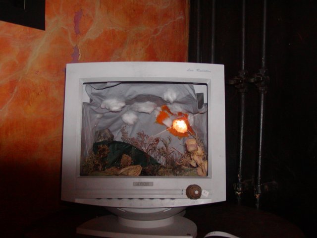 Photograph
